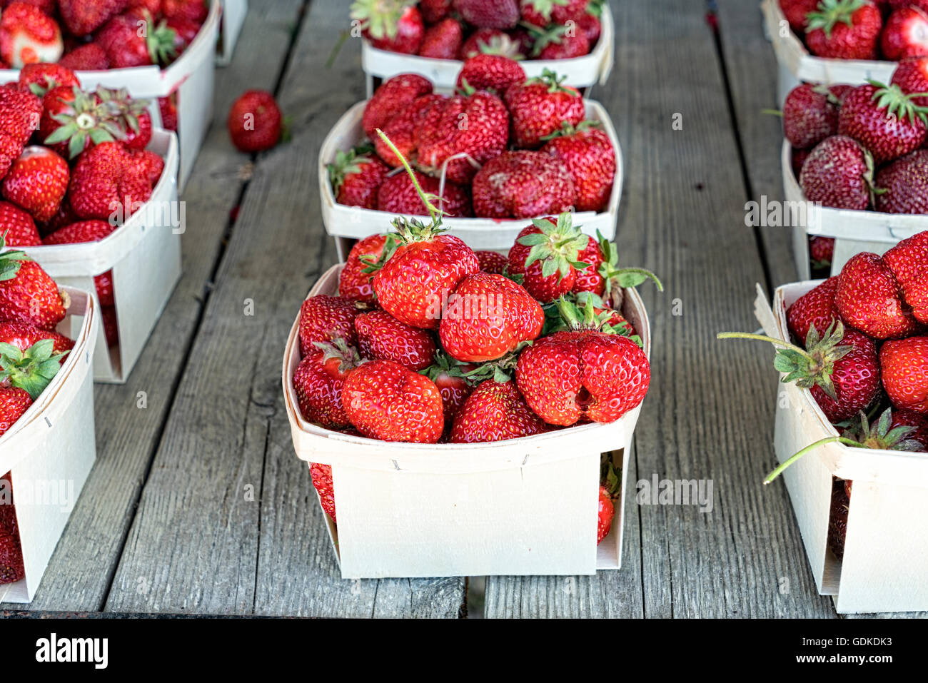 Cartons of Freshly Picked, Ripe, Red Strawberries.  Displayed on an weathered wooden table and offered for sale at a Strawberry Stock Photo