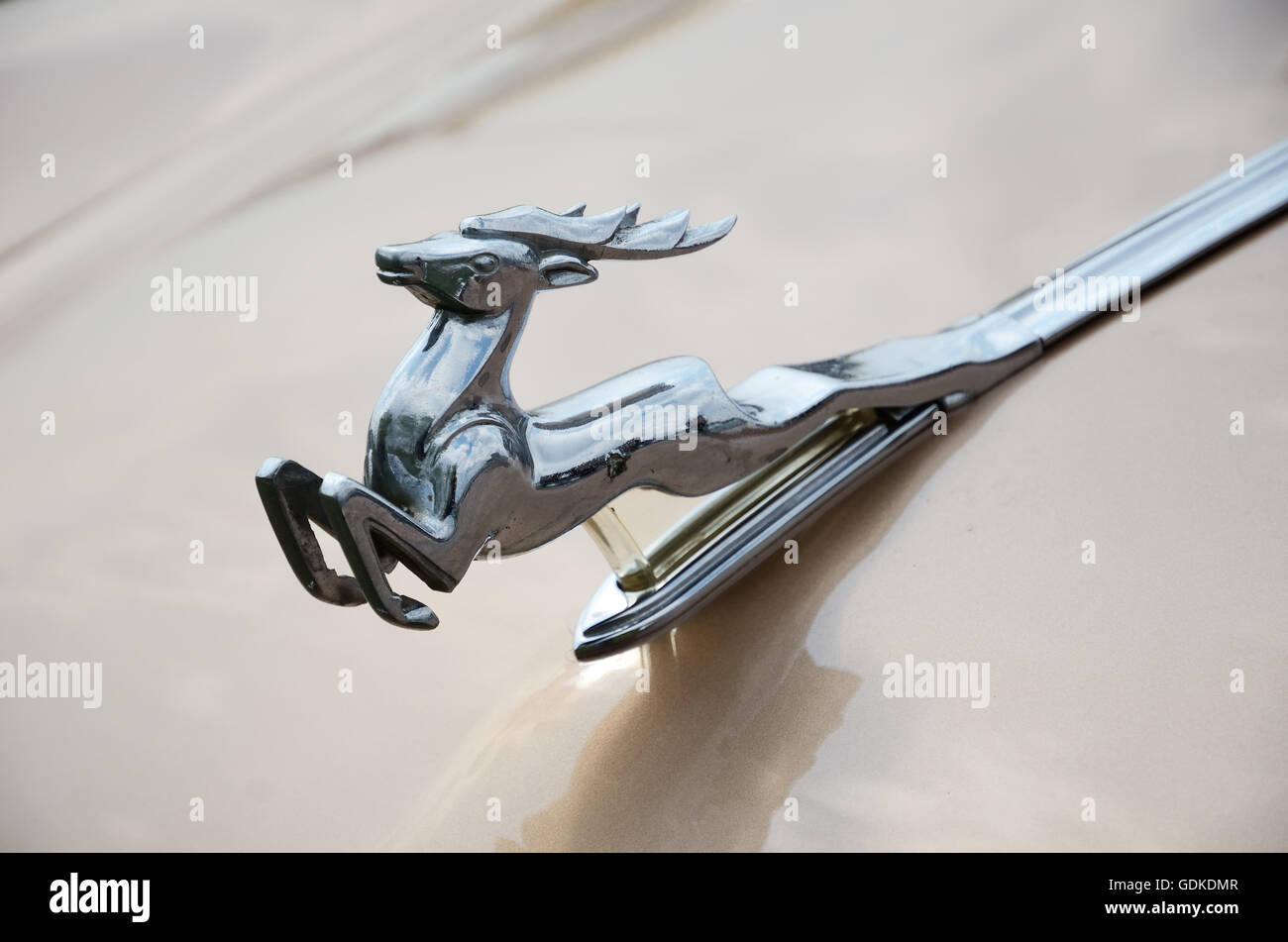 Deer-like hood ornament of the vintage car GAZ Stock Photo