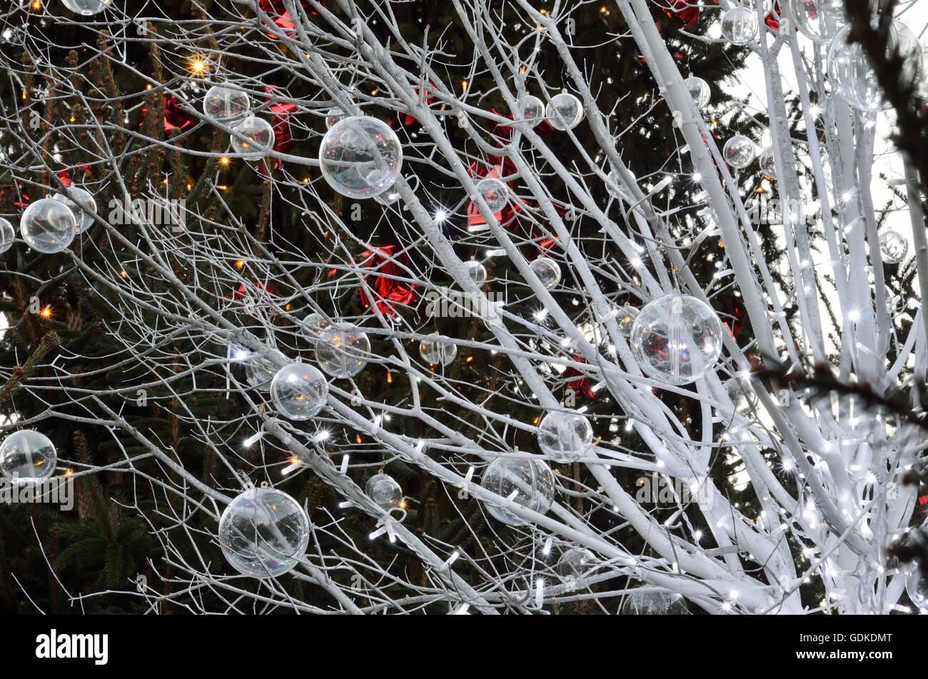 Ornate branches of the Christmas tree Stock Photo