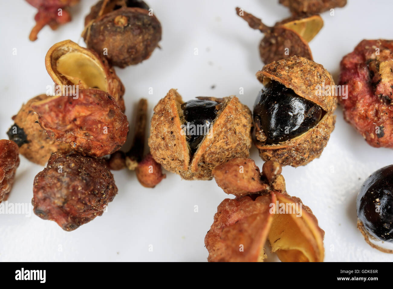 Asia common special dry spices - Zanthoxylum close up macro shoot Stock Photo