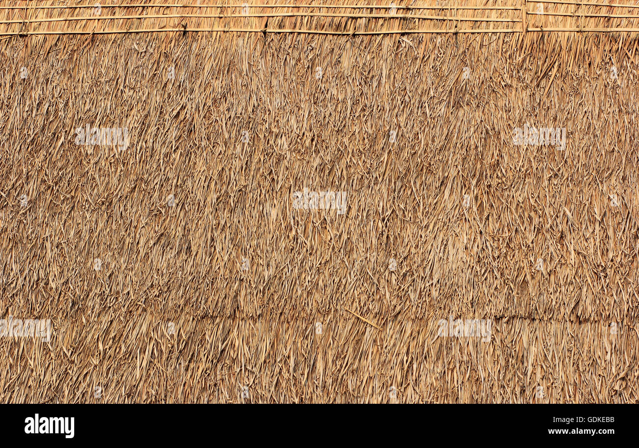 Dry grass roof hires stock photography and images Alamy