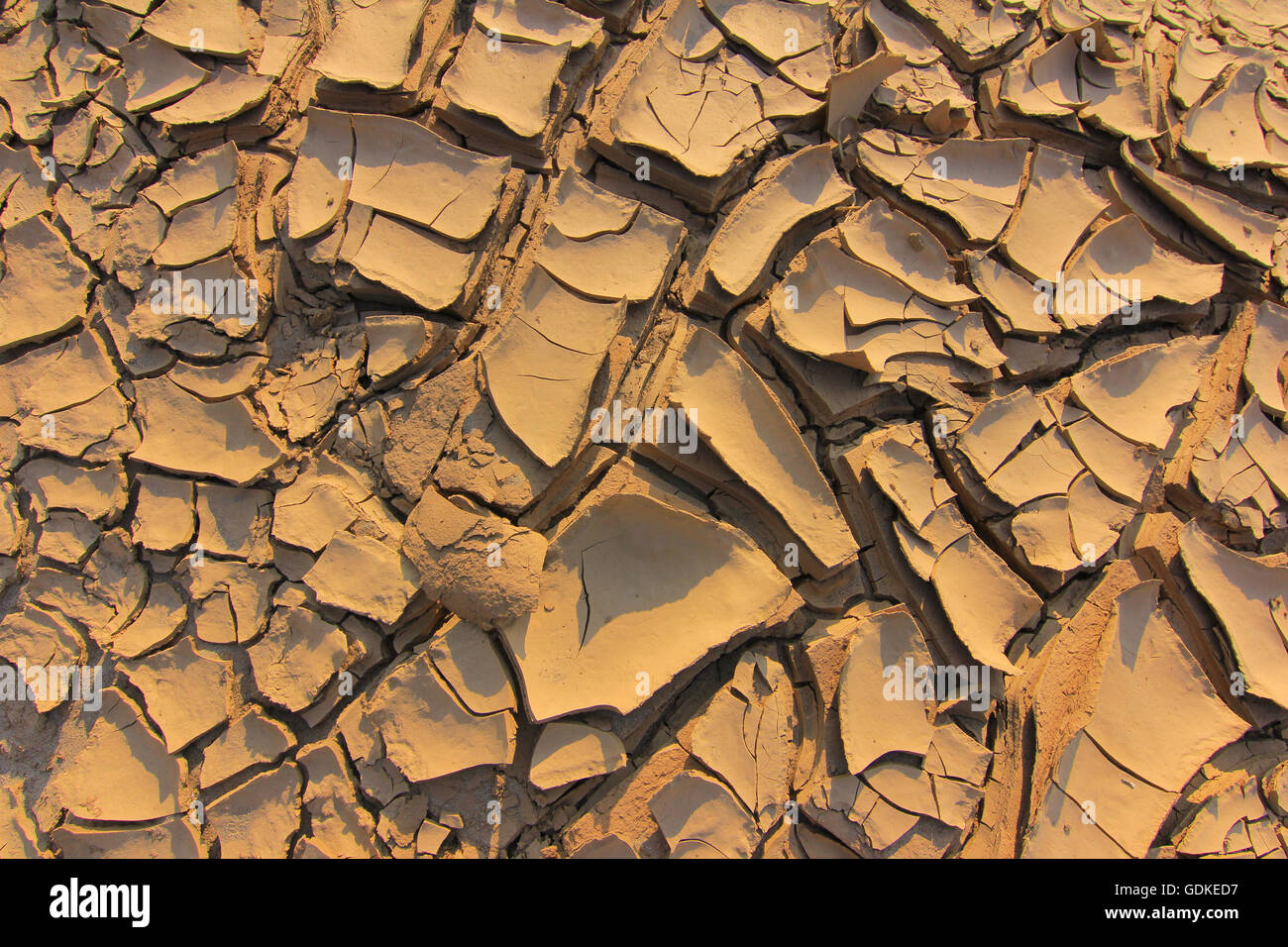 The soil surface Beyond the dryness of the climate. Stock Photo