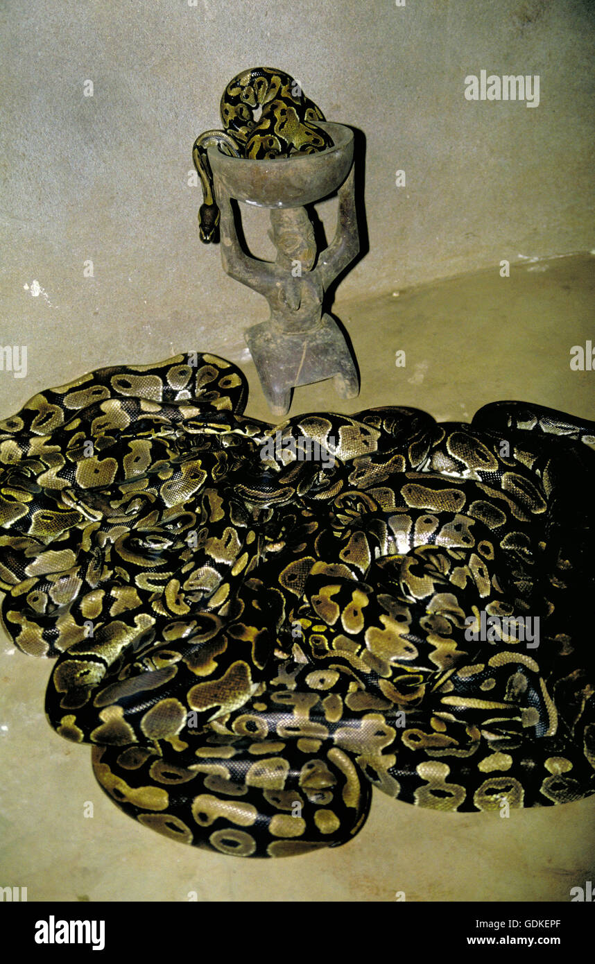 Inside the sacred Temple of Pythons, devoted to the Voodoo religion in Ouidah, Benin. West Africa. Stock Photo