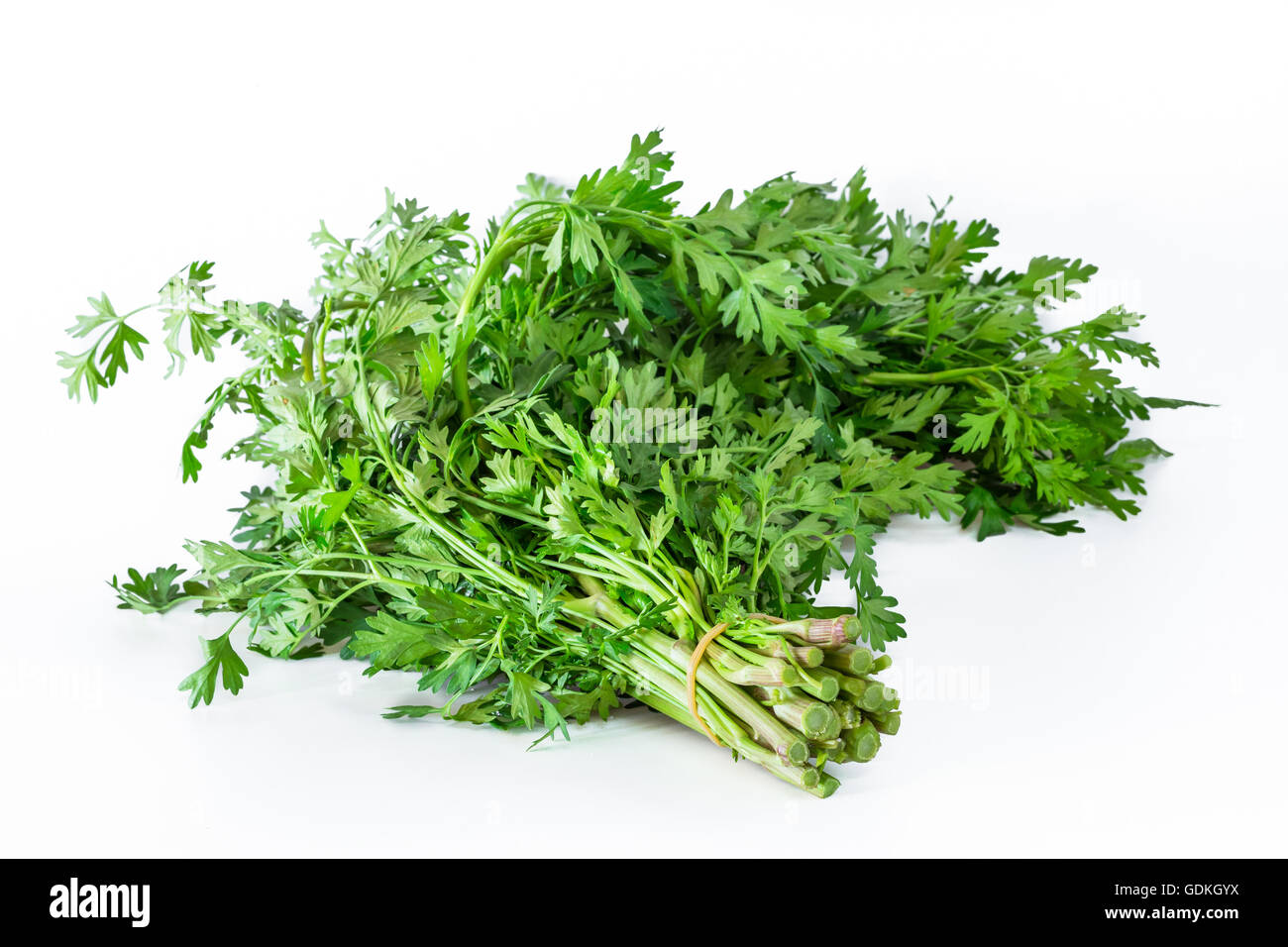 Coriander sprig Used in cooking isolated on white Stock Photo Alamy