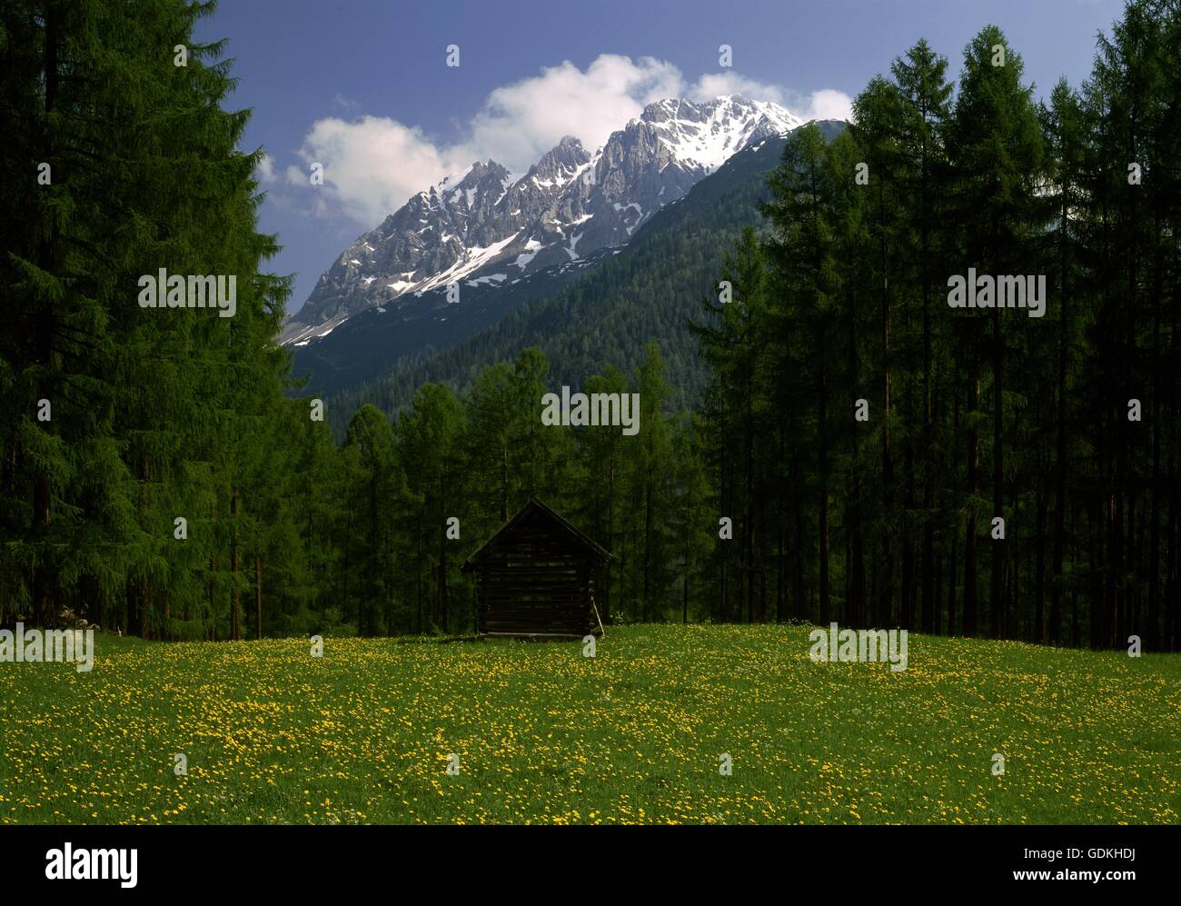 geography / travel, Austria, Tyrol, landscapes, at Holzleitensattel with Marienberg (peak), Mieminger Chain near Obsteig, Stock Photo