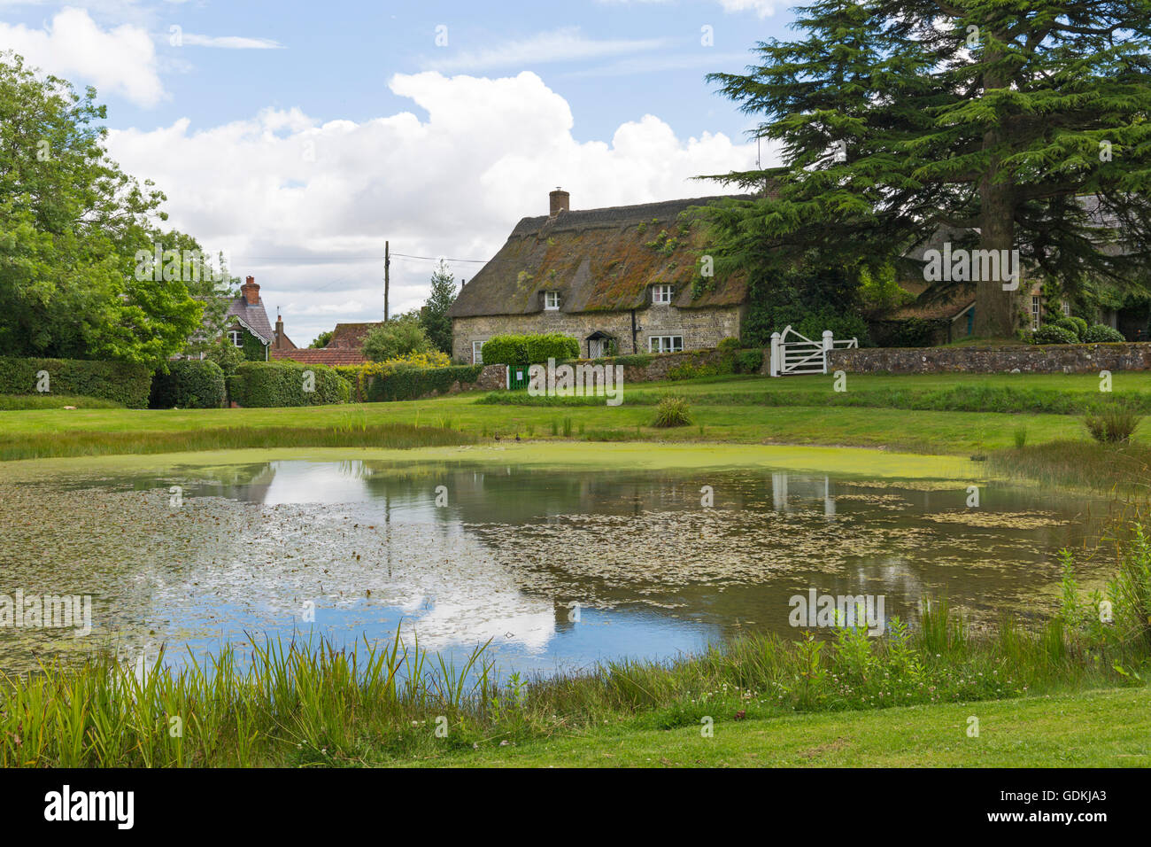 Thatched cottages and village pond at Ashmore, Dorset in July Stock