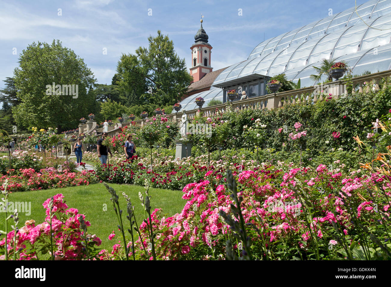 church, rose garden, Mainau Island, Lake  Constance, Baden-Wuerttemberg, Germany Stock Photo