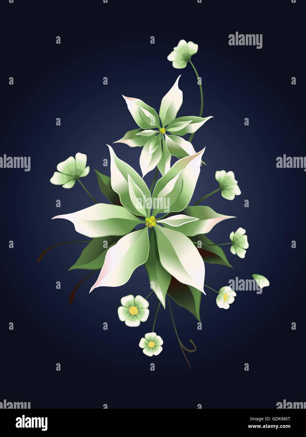 White poinsettia flower on blue background, Christmas card Stock Vector