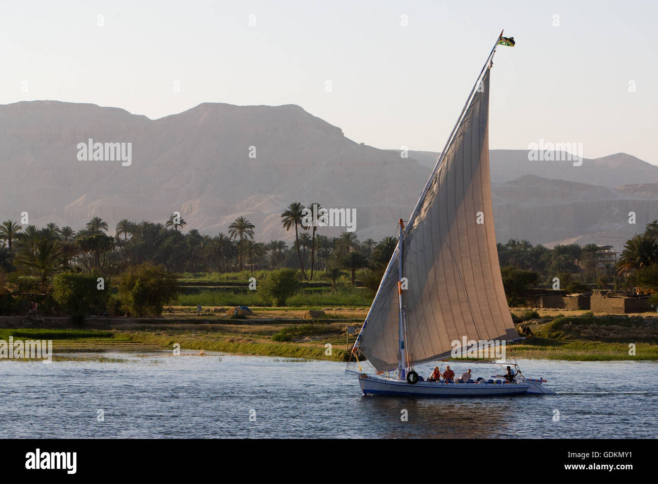 A traditional Felucca boat sailing near Luxor on the River Nile, Egypt ...
