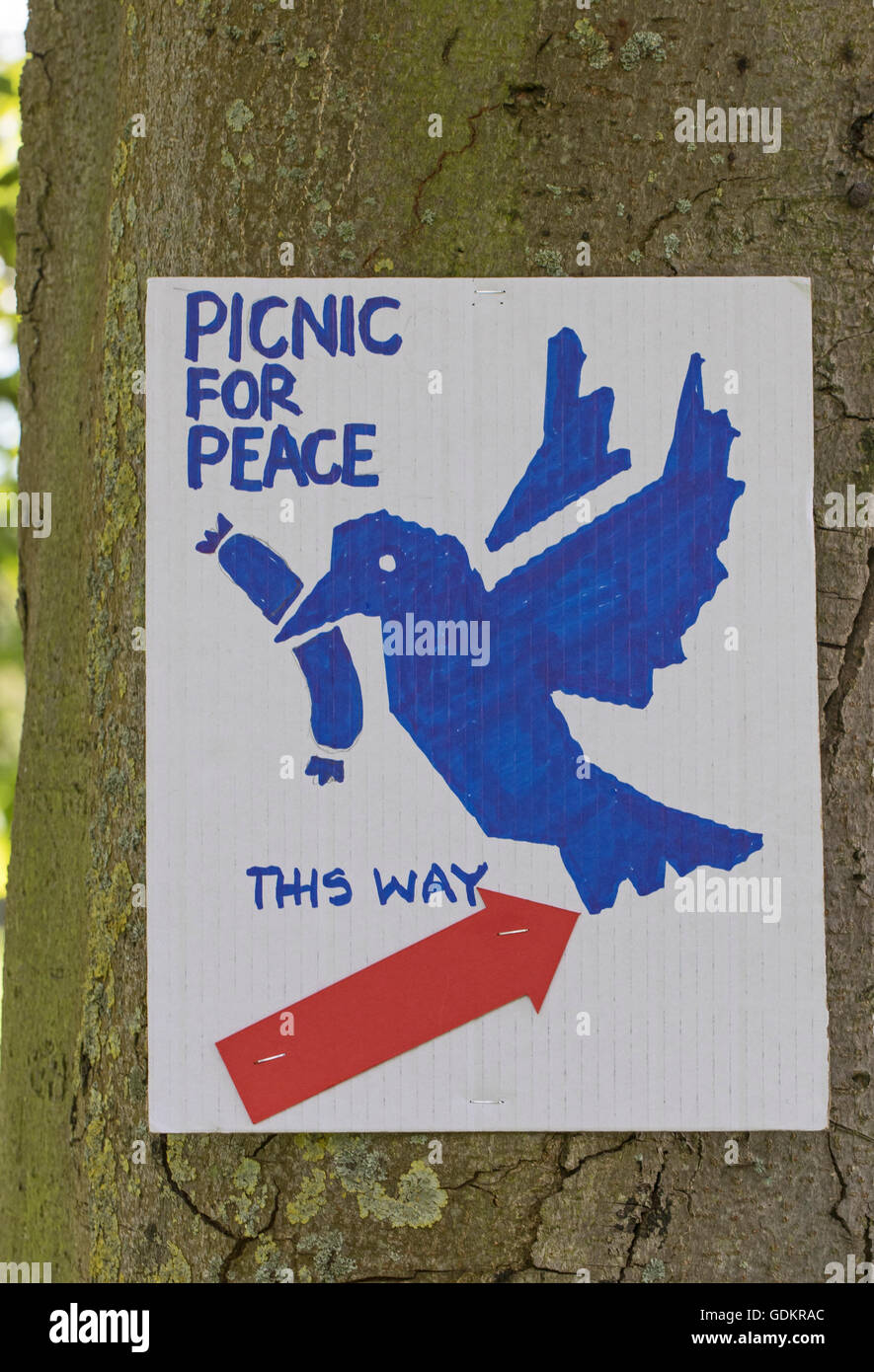London, Lewisham  A 'flier' on a tree trunk advertising a Picnic for Peace Stock Photo
