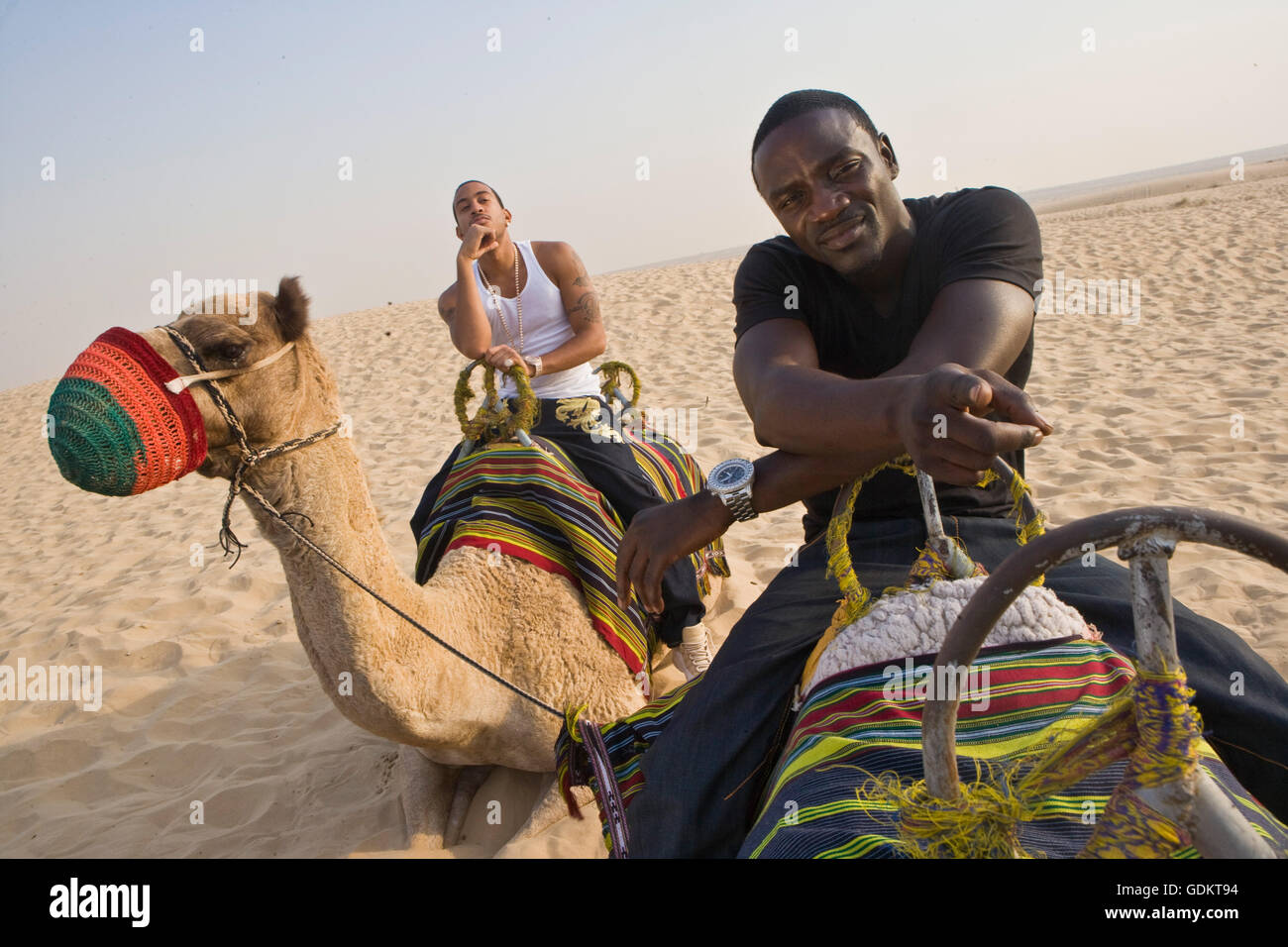 Ludacris and Akon sittin on camels in the desert, November 2007, Dubai, UAE. Stock Photo