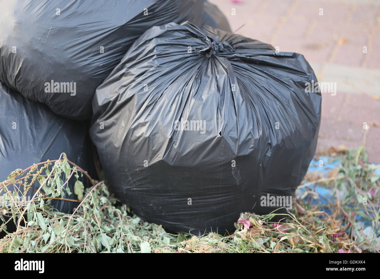Pile of Full Garbage Bags. Pile of green garbage bags tied up tightly, placed on the ground in the street. Stock Photo