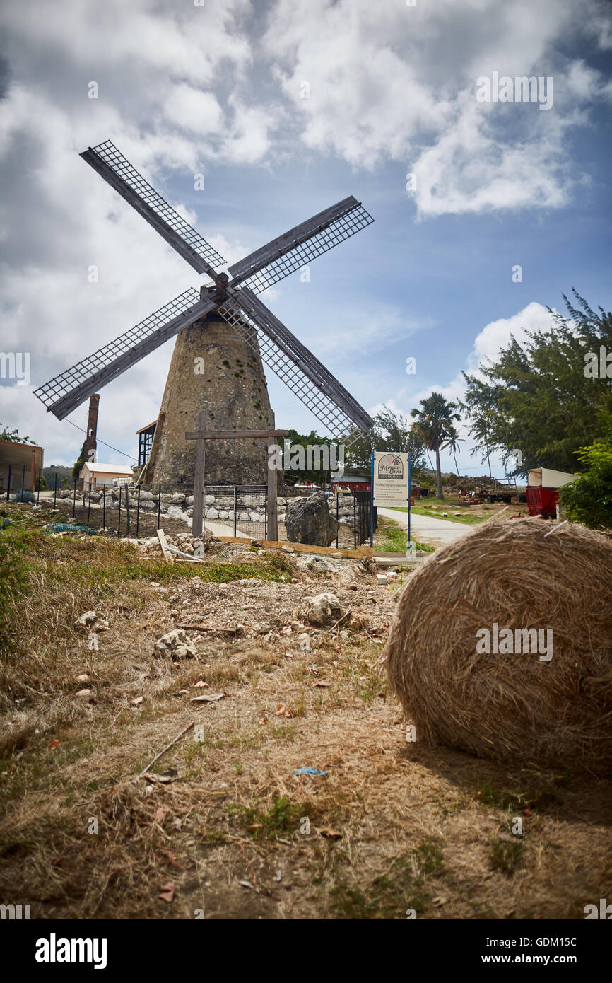 The Lesser Antilles Barbados Parish Saint Michael west indies capital Bridgetown  Barbados  Saint Andrew Morgan Lewis Windmill l Stock Photo