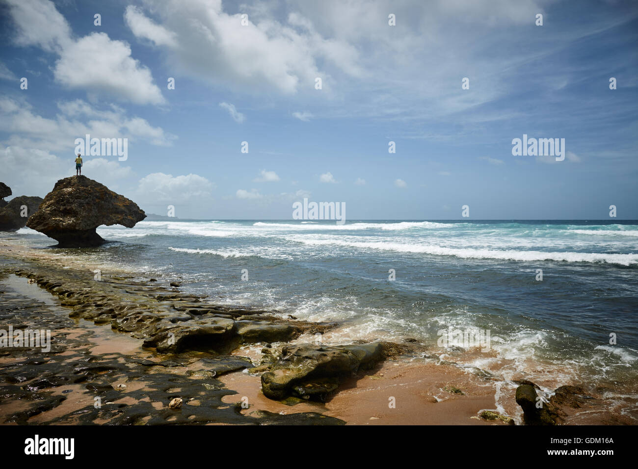 The Lesser Antilles Barbados Parish Saint Michael west indies capital Bridgetown  Barbados golden sand beach with large stone ro Stock Photo