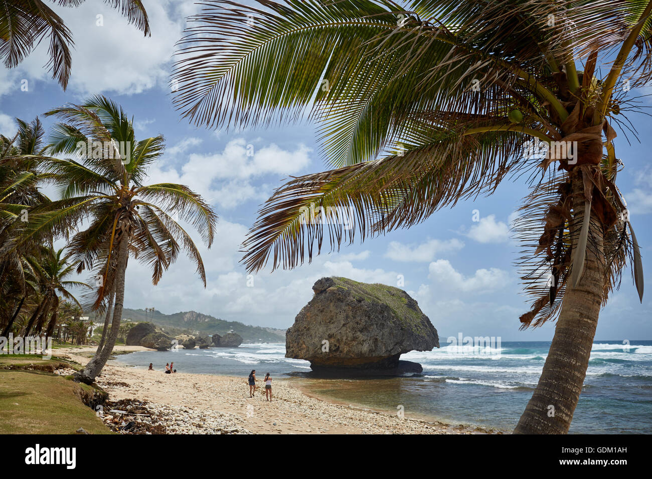 The Lesser Antilles Barbados Parish Saint Michael west indies capital Bridgetown  Barbados golden sand beach with large stone ro Stock Photo