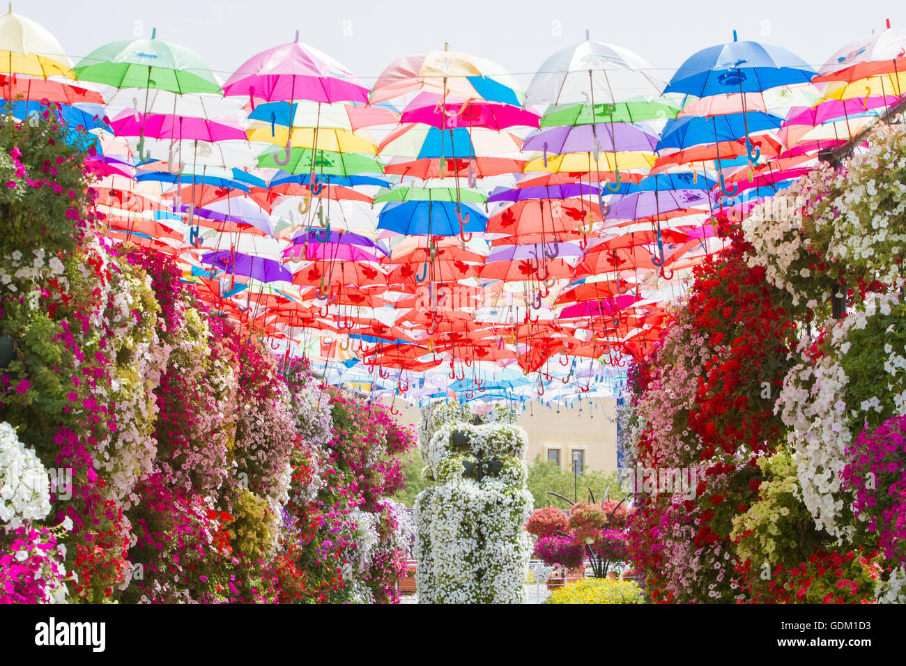 Umbrellas hang from a ceiling at Miracle Garden, Dubai, UAE Stock Photo