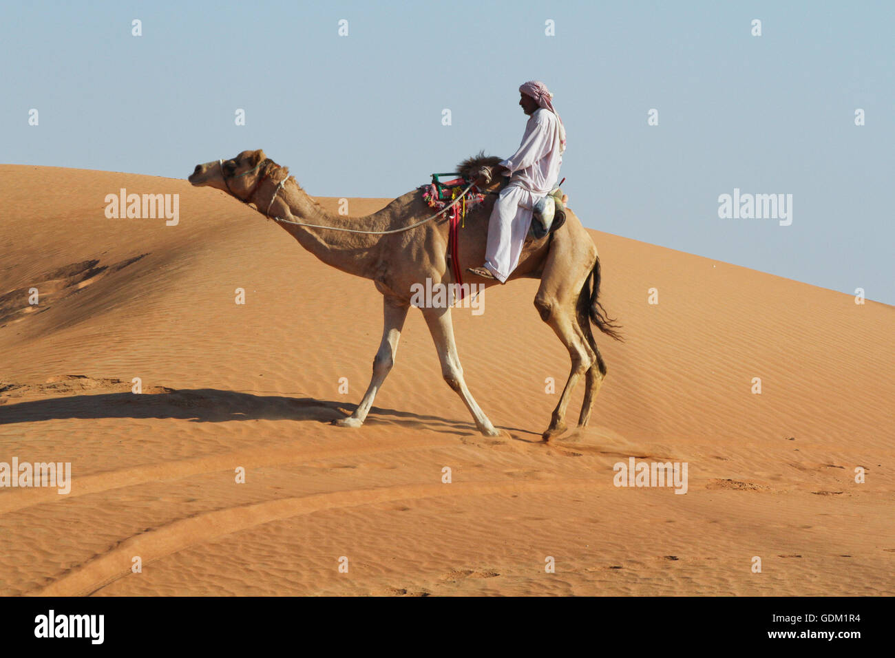 Man riding a camel hi-res stock photography and images - Alamy