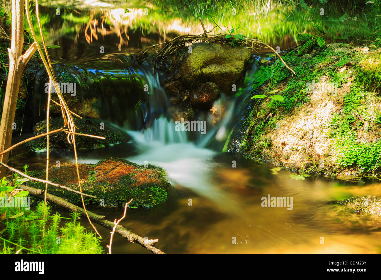view of a forest stream blurred foreground Stock Photo