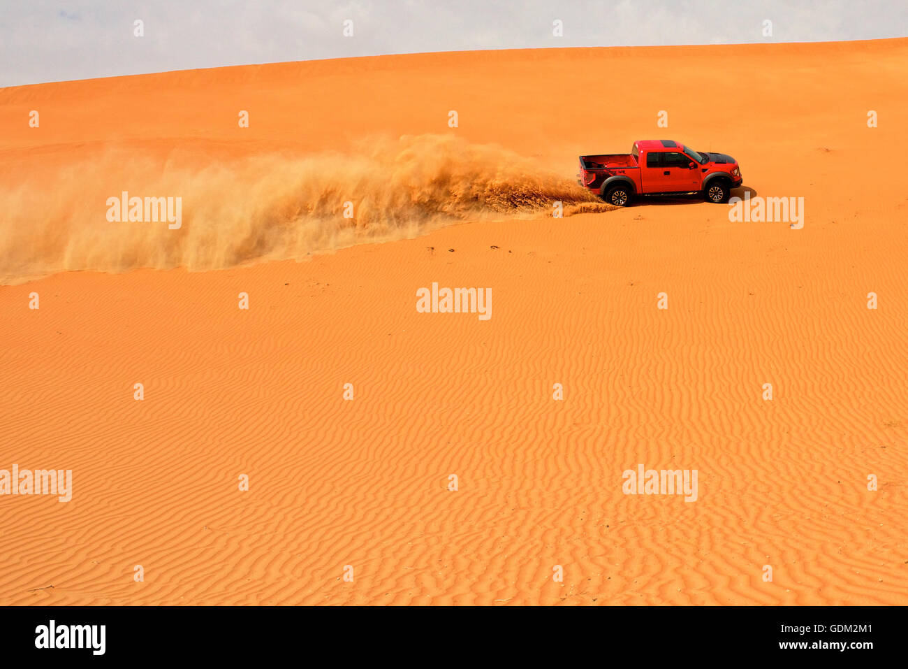 Ford Raptor Sand Rig A Ford Raptor SVT pick-up drives in the sand dunes Stock Photo - Alamy