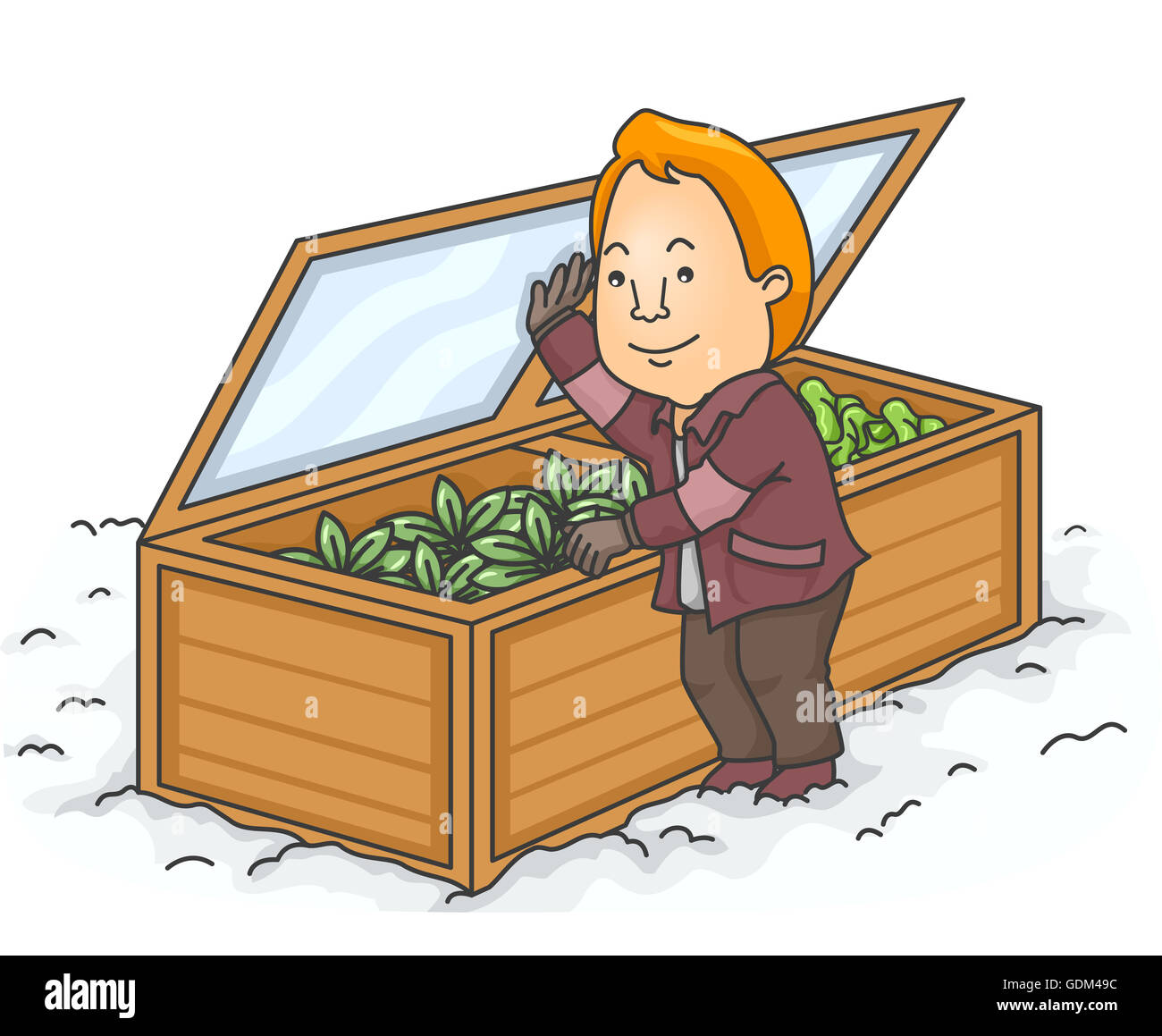 Illustration of a Man Checking the Cold Frame of His Winter Garden Stock Photo