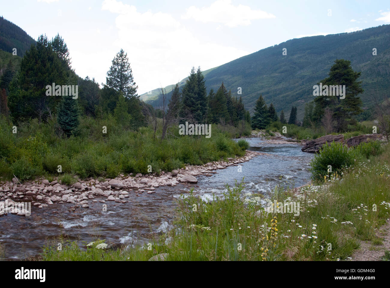 Gore Creek, Vail Colorado Stock Photo - Alamy