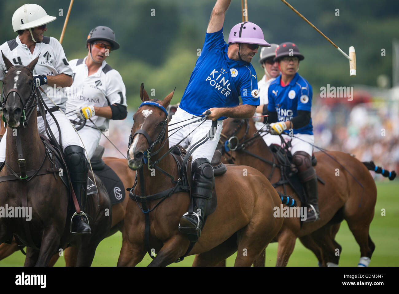 The foxes horse king power hi res stock photography and images Alamy