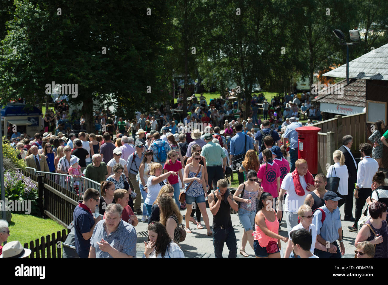 Builth Wells, UK. 18th July, 2016. Crowds without social distancing at the Royal Welsh Show 2016. Credit:  James Thomas/Alamy Live News Stock Photo