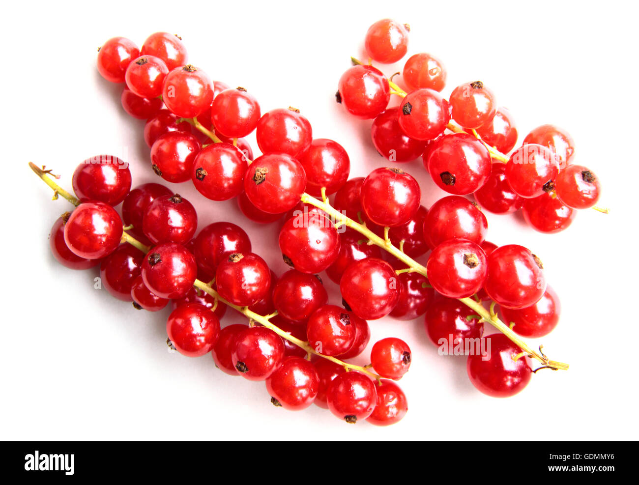 bunch of fresh and delicate redcurrant's Stock Photo