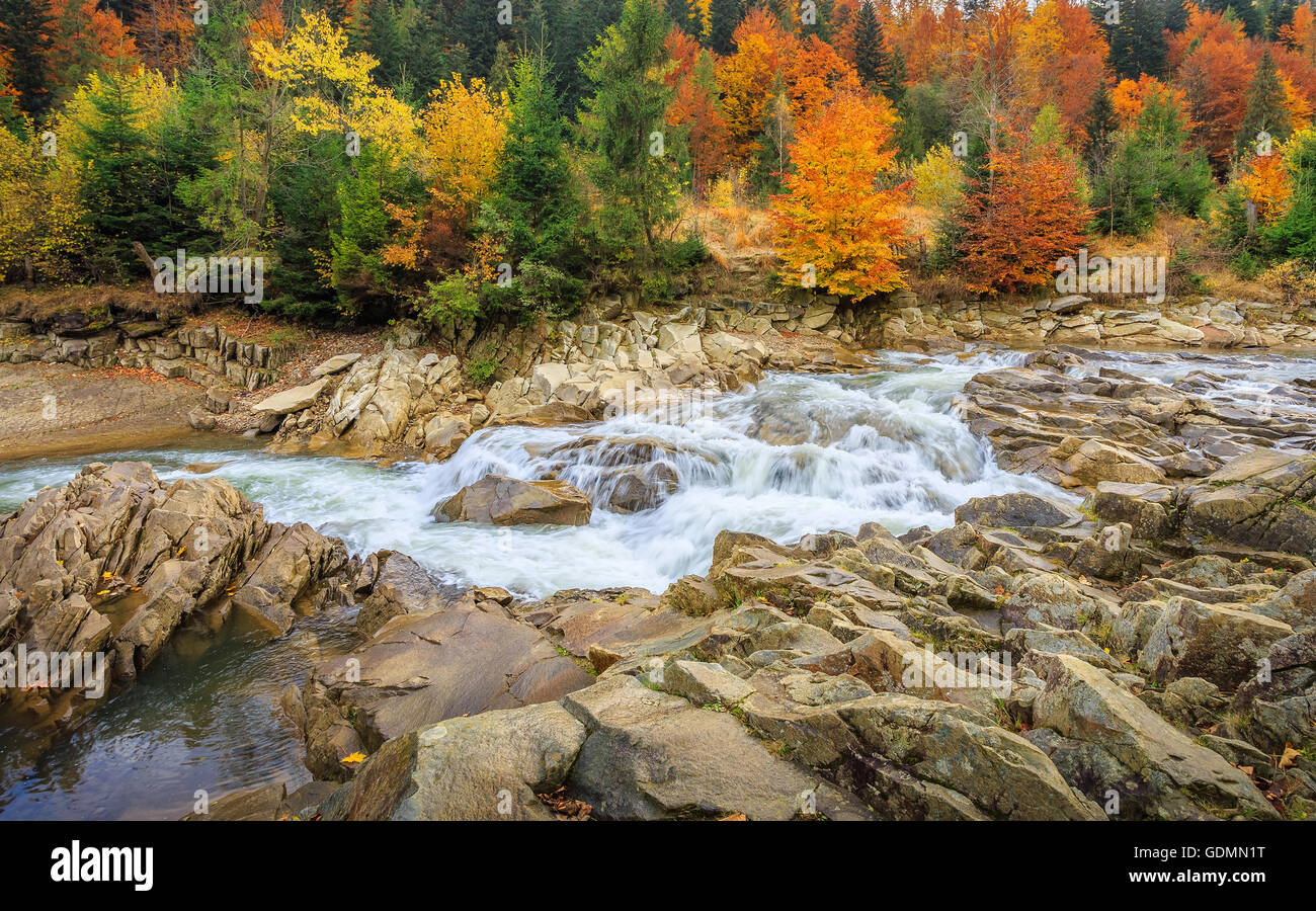 beautiful fast mountain river in autumn forest Stock Photo - Alamy