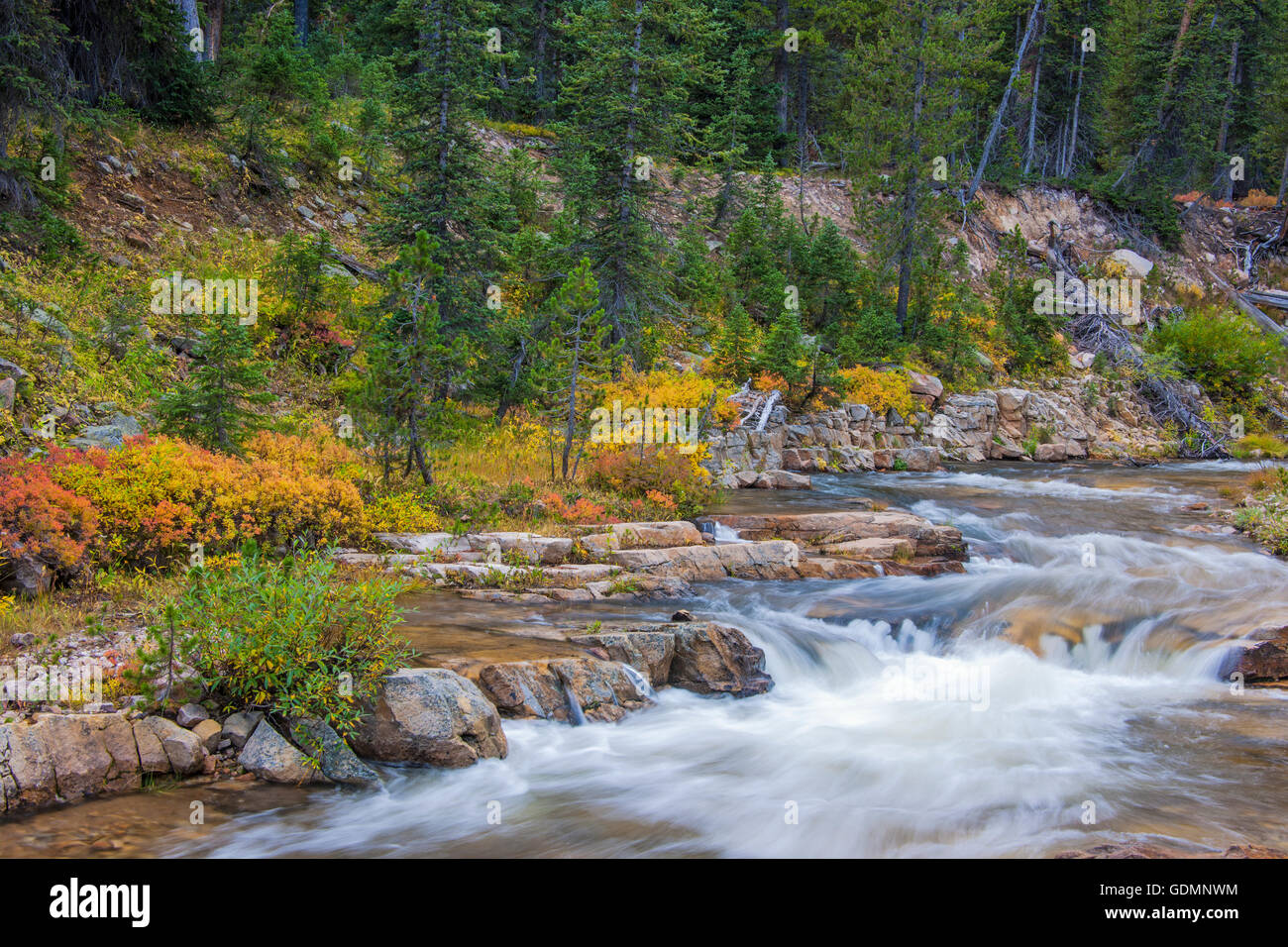 The Upper Provo River, Utah with fall colors Stock Photo - Alamy