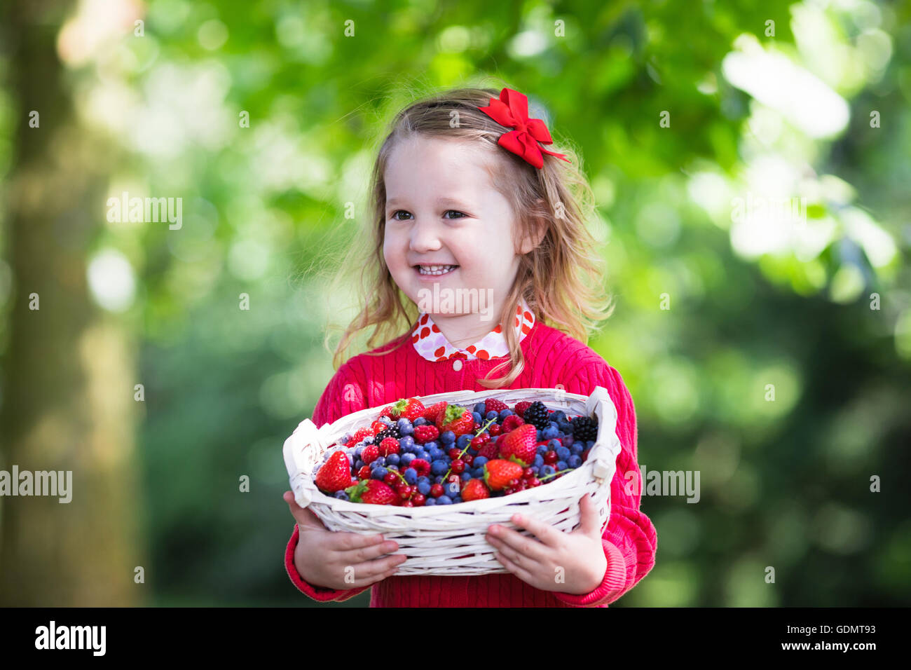 Kids picking cherry on fruit farm. Children pick cherries in summer orchard. Toddler kid and