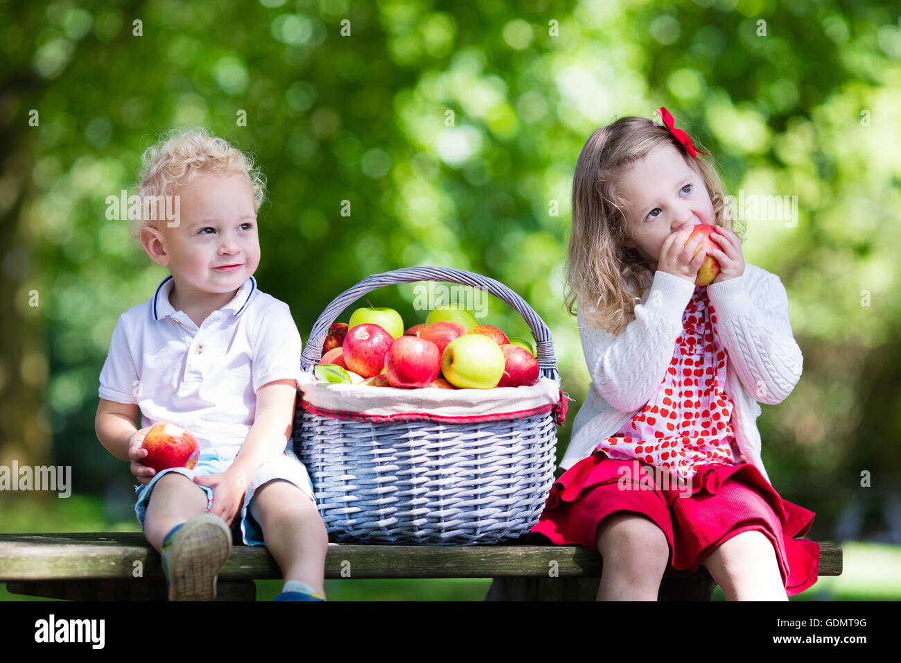 Ребенку можно свежее яблоко. Девочка с яблоками. Дети с корзинкой. Дети кушают яблоки в саду. Фрукты для детей.