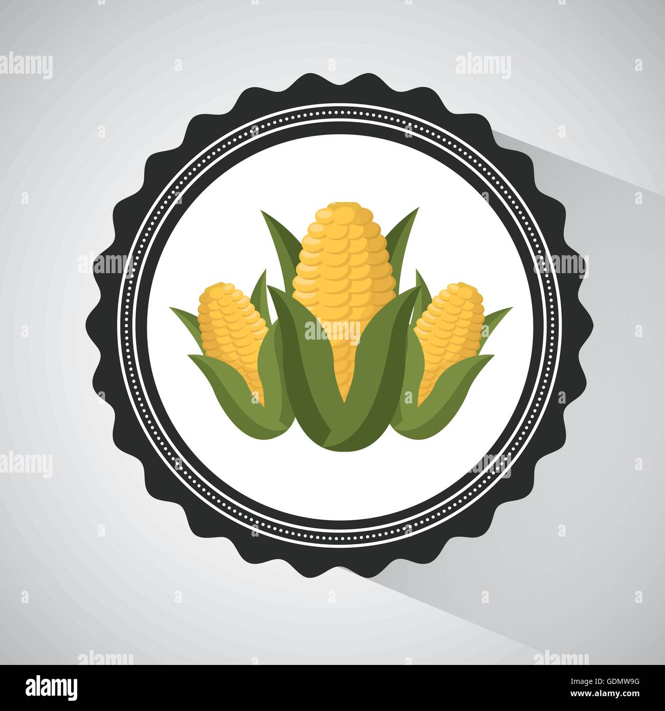 Beautiful corn field design Stock Vector Images Biology Diagrams