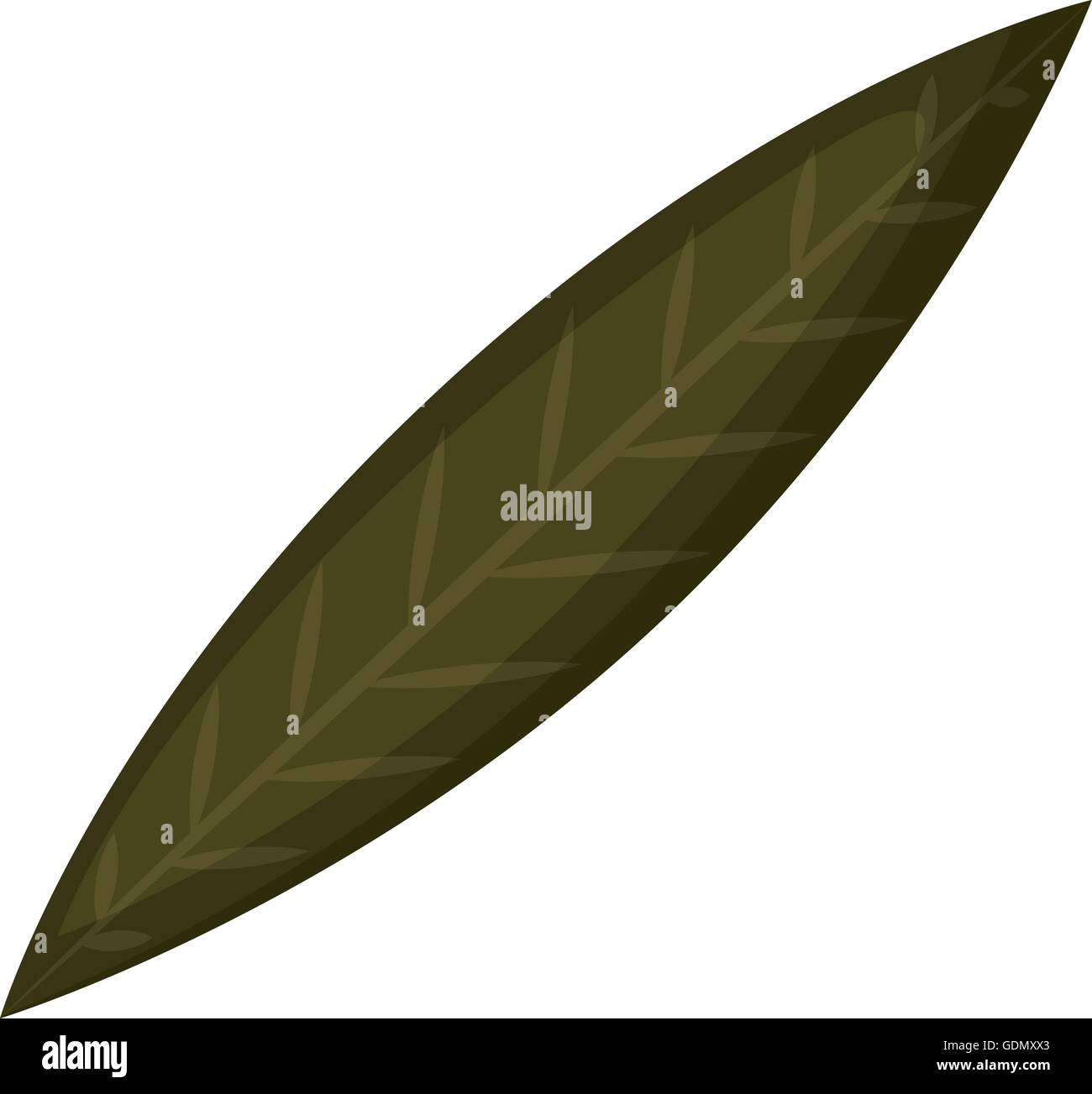 leaf plant isolated icon design Stock Vector Image & Art - Alamy