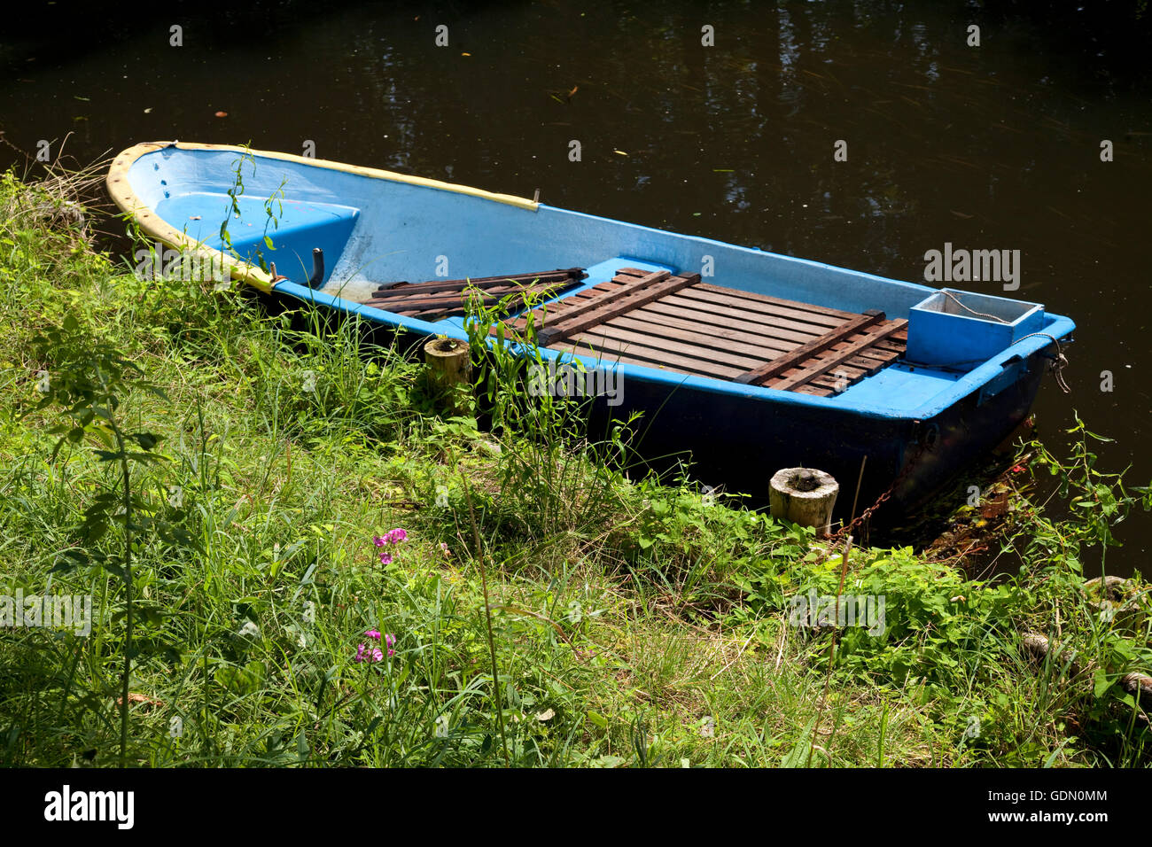 Rowboat on the river, Spreewald biosphere reserve, Spree Forest, Luebben Brandenburg Stock Photo