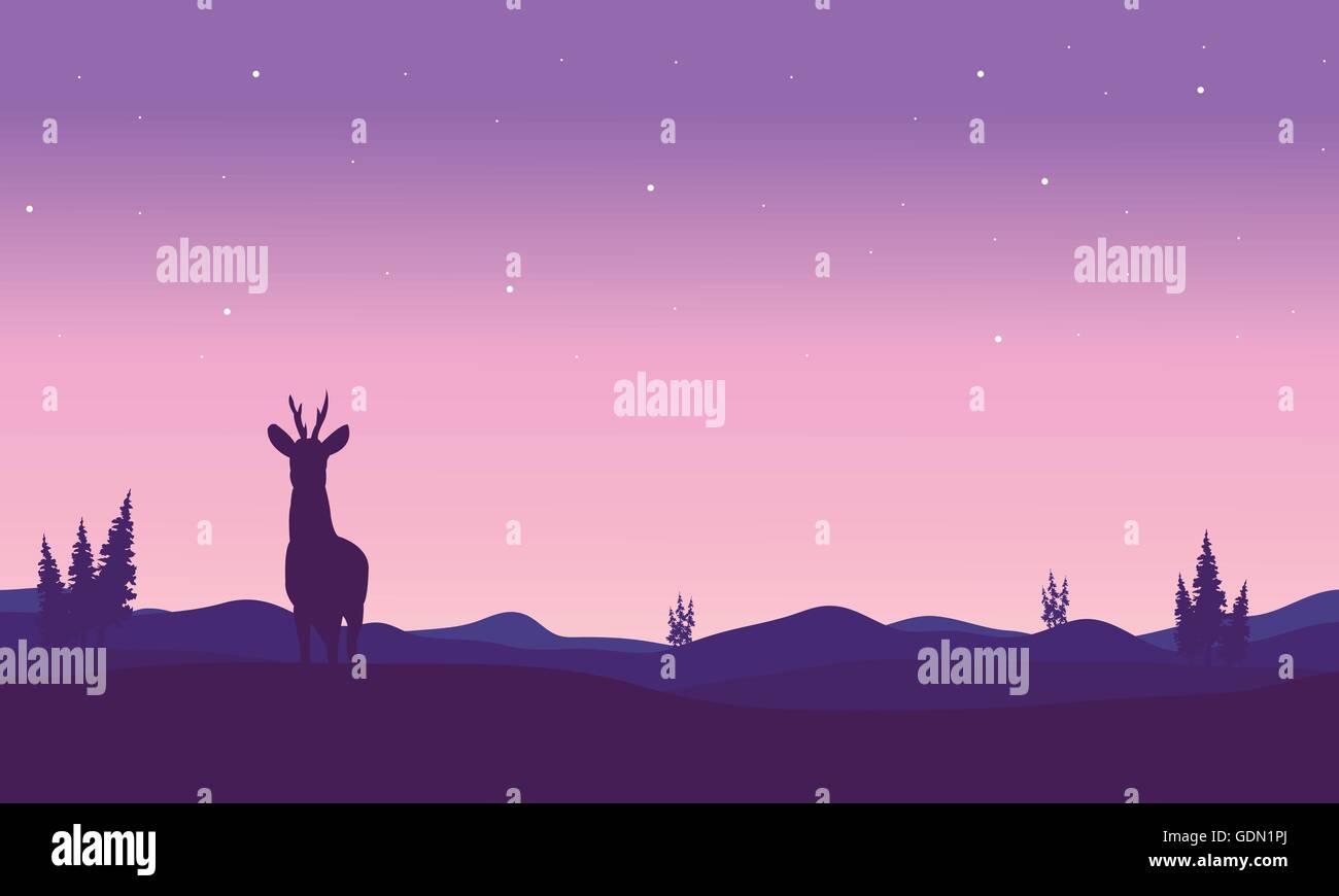Silhouette of zebra in hills Stock Vector Image & Art - Alamy