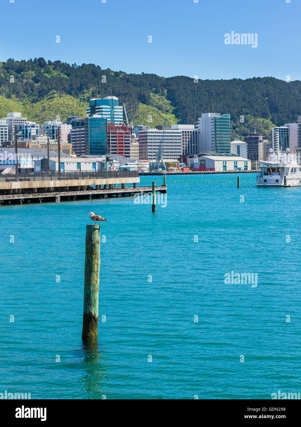Wellington, capital city of New Zealand,  fragment  city skyline  from the sea Stock Photo