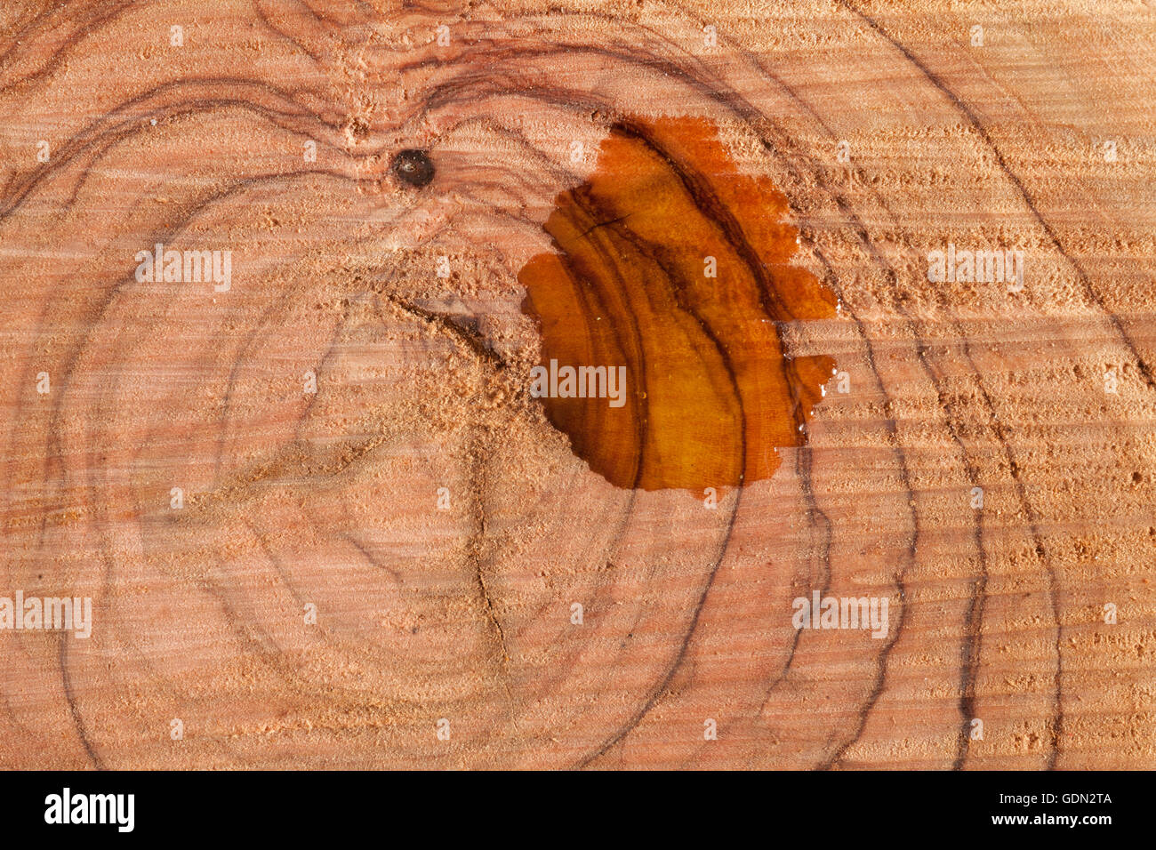 Olive wood surface with oil stain Stock Photo Alamy