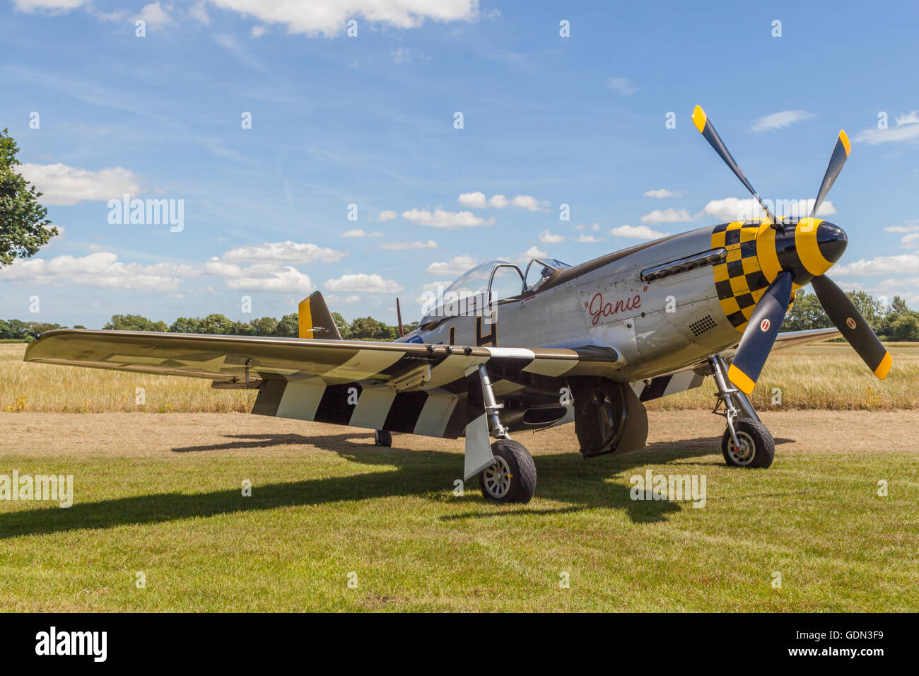 Restored airworthy P-51D Mustang American fighter aeroplane at the hardwick warbirds hardwick airfield Stock Photo
