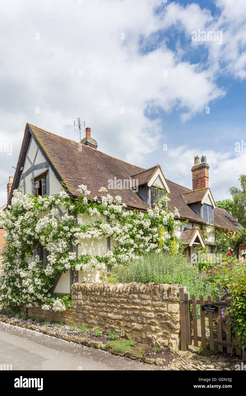 Country cottage roses hi-res stock photography and images - Alamy