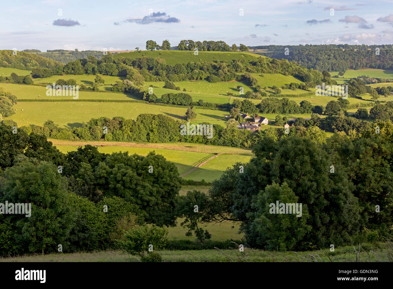 Summer in the English countryside. Stock Photo