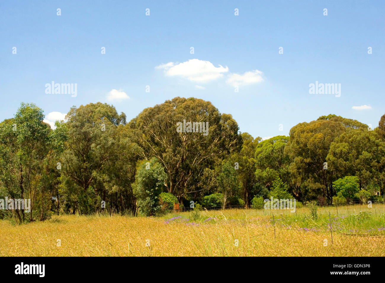 South african farm land hi-res stock photography and images - Alamy