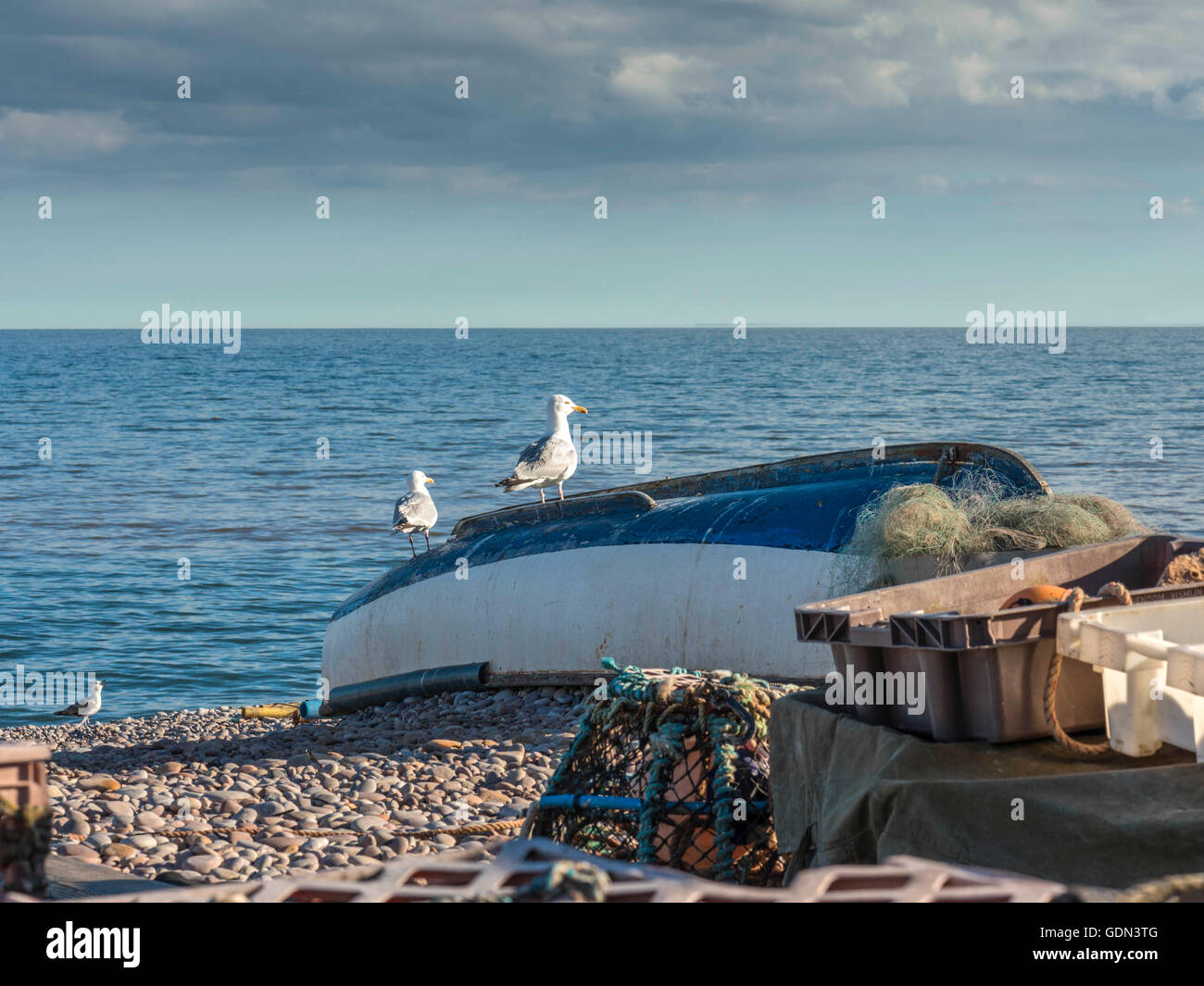 Seaside summer scene, depicting a blue ocean background with boat & seagulls in the mid-ground and a pebble beach foreground. Stock Photo