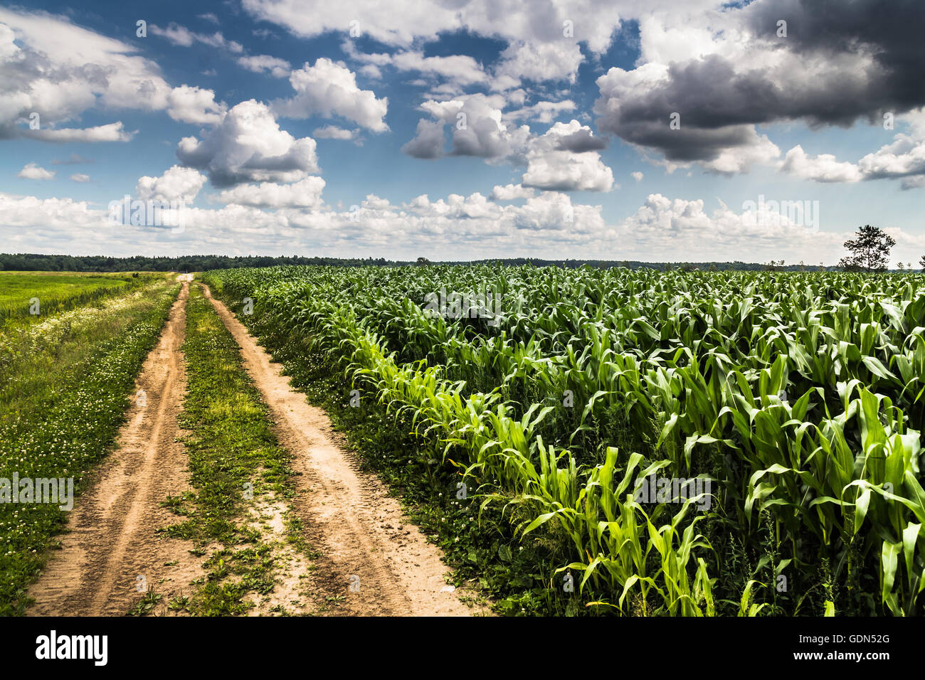 rural agriculture farming landscape Quebec Canada Stock Photo Alamy