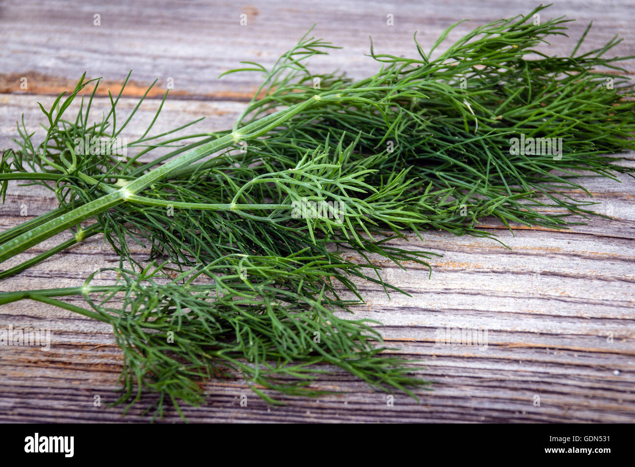dill herb on wooden table Dill Anethum graveolens is an annual herb in the celery family Apiaceae. Stock Photo