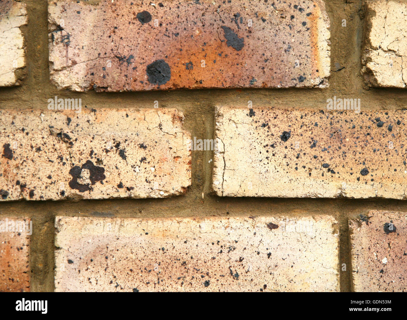 Brick Wall South Africa Stock Photo Alamy brick-wall-south-africa-stock-photo-alamy