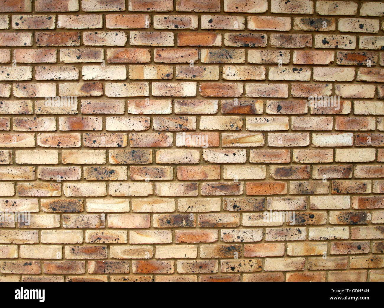 Brick wall, South Africa Stock Photo Alamy