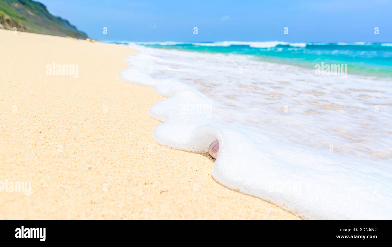 Wave washing over a tropical sandy beach Stock Photo Alamy