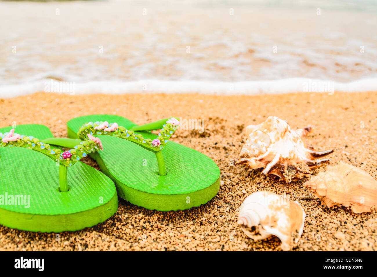 Women's sandals at the beach on the shoreline with some shells and a ...