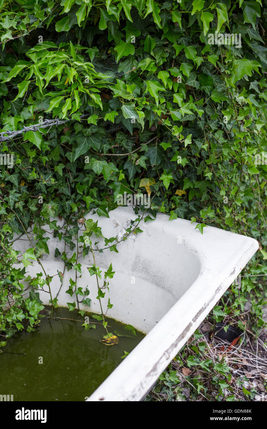 A large old white bath used as a water trough in a garden or allotment